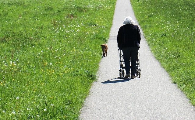 anciano-usando-andador-con-ruedas-en-el-campo